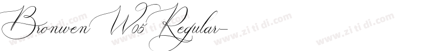 Bronwen W05 Regular字体转换